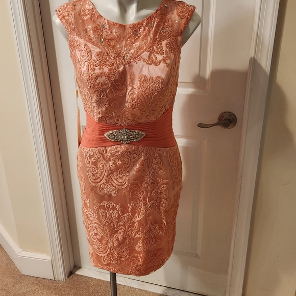 Pink new with tags wedding lace dress size 10 - Picture 1 of 10